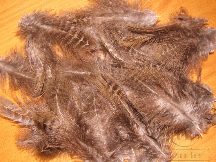 Green Eared Pheasant Spey / Soft Hackle / Chickabou Barret Grade Pack 
