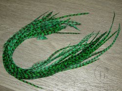 Перо из седла петуха отборное ( 1 шт ) Гризли  зеленое / Grizzly Green