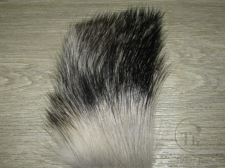 Chinese Temple Dog Skin Natural Spey Clave Fin ( для летних лососёвых мух )