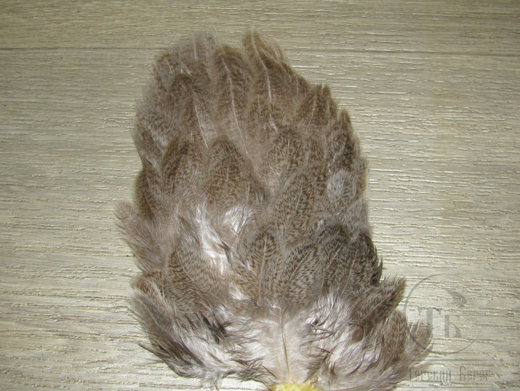 Перо курицы рябое натуральное светлое 1/2 Brahma Hen Soft Hackle Natural Lt. Whiting (мелкое перо)
