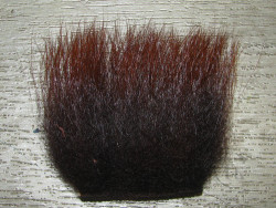 imi polar bear red brown standart