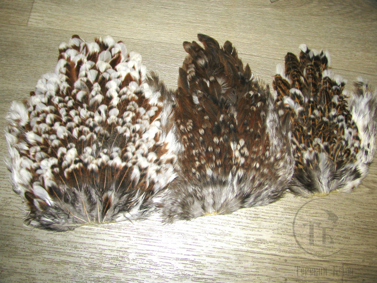 Курица седло Indian Hen Saddle Dk Fiery 