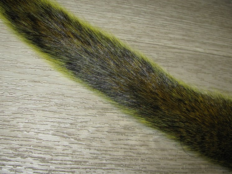 Хвост белки канадской оливковый / Squirrel Tail Olive 