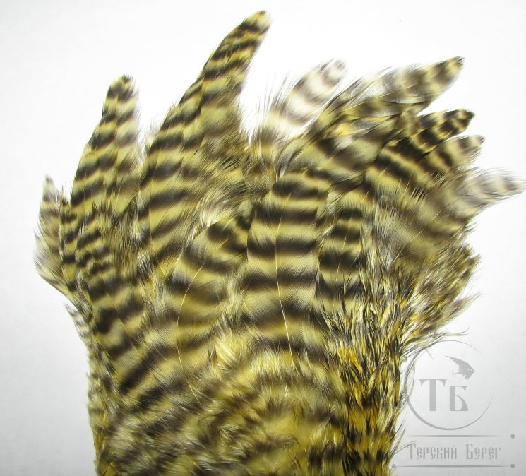 Куриное перо Hen feathers гризли палево желтый