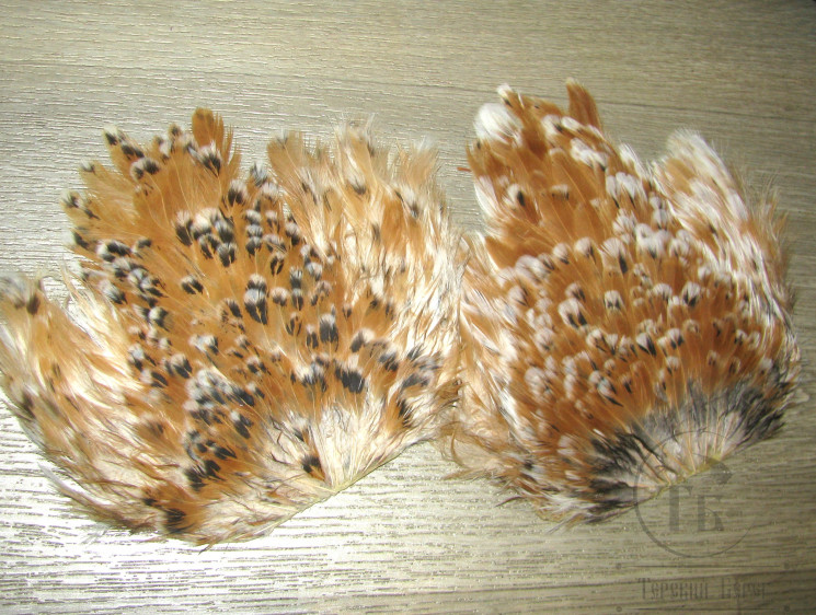 Курица седло Indian Hen Saddle Lt Fiery 