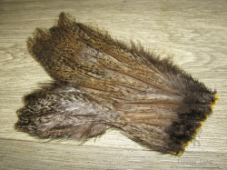 Перо скальпа курицы рябое серое Hen Coq de Leon Silver Gray Whiting ( крупное перо, нижний вырез скальпа )