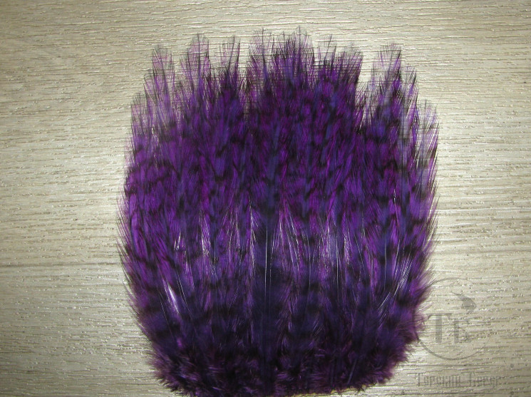 Перья скальпа петуха на коже ( большой вырез верхней части скальпа ) American Grizzly Purple мелкое и среднее перо SAP 14