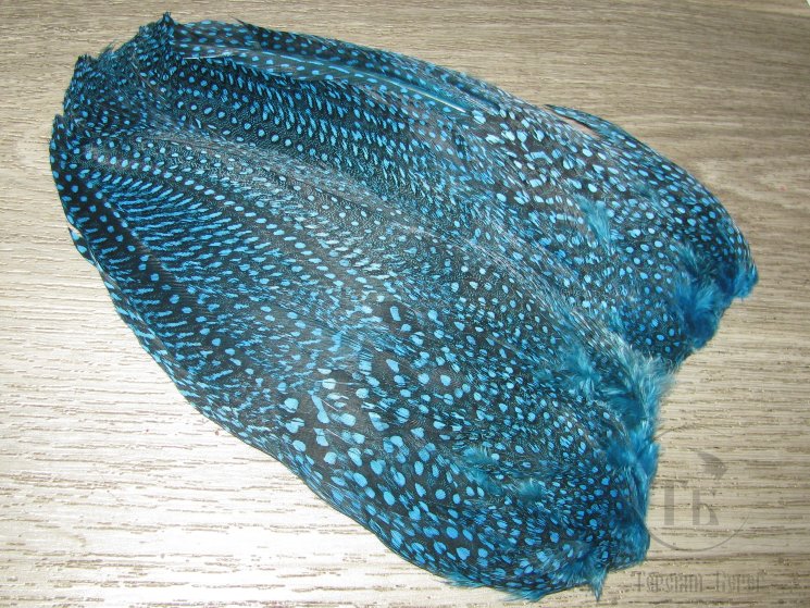 Крылья цесарки голубые Guinea Wing 1 пара