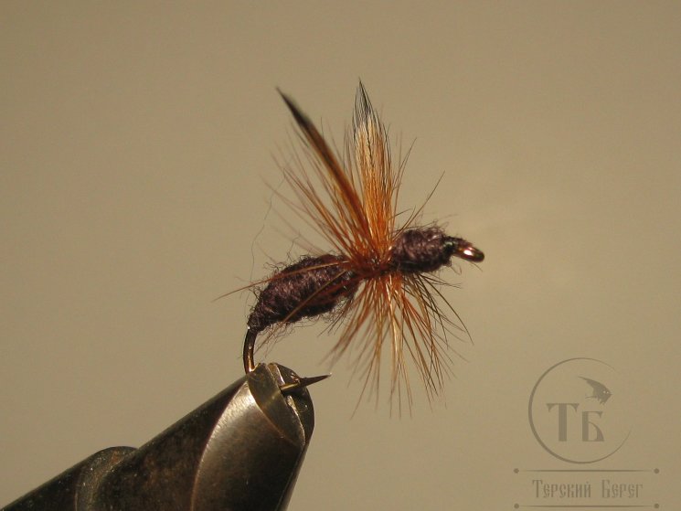 Муха муравей Ant ( 27 ) Black Brown Flies Kumho Dry № 12