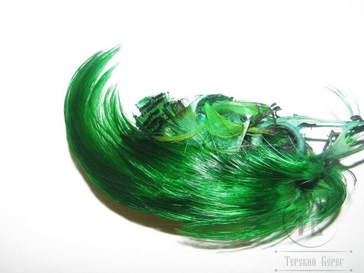 Золотой фазан хохолок Golden Pheasant Crest Only Green 