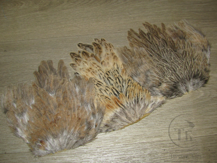 Курица седло Indian Hen Saddle Gray Ginger Barr. / Имбирно Серое рябое