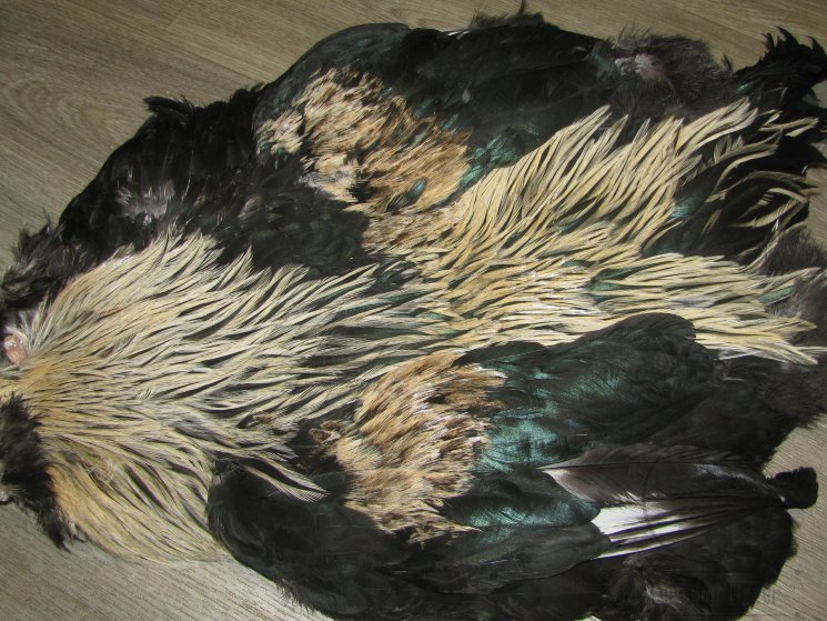 Шкура петуха с крыльями и хвостом Cock Skin Silver Badger 