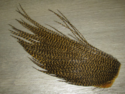 Верхняя четверть сухого скальпа высокой градации Grizzly Sculpin Olive ( ССК 117 )