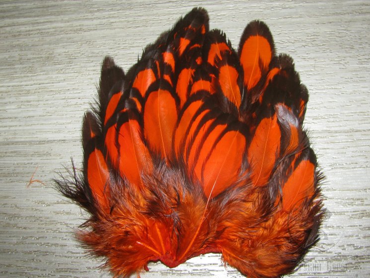 Перо курицы оранжевое с чёрной окантовкой 1/4 Soft Hackle BLW Orange Whiting