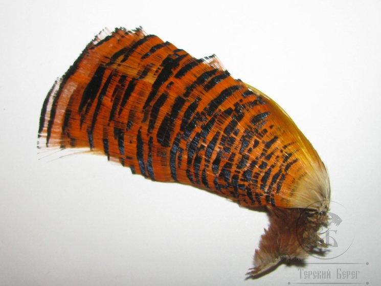Золотой фазан  (шея) Golden Pheasant Tippet Section Natural 