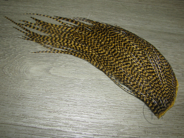 Верхняя четверть сухого скальпа высокой градации Grizzly Sculpin Olive ( ССК 118 )