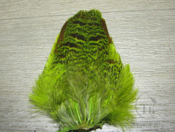 Хвост куропатки  Gray Partridge Tail Fl. Chartreuse