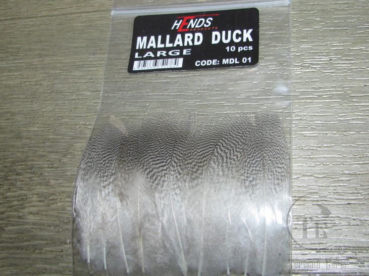 Перья селезня кряквы Mallard Duck Large 10 pcs Hends  