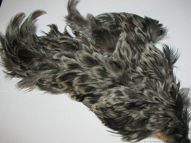 Перо курицы баджер серое 1/2  Soft Hackle Badger Gray 