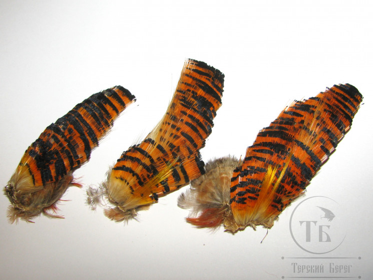 Золотой фазан ( шея ) 1/2 Golden Pheasant Tippet Half Natural Orange