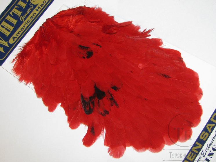Курица седло American Hen Saddle Red  Whiting