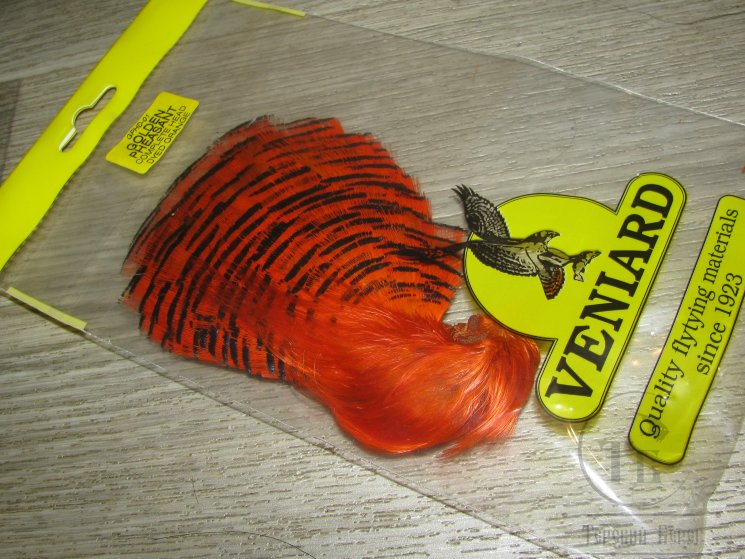 Золотой фазан комплект (шея, голова) Golden Pheasant Complete Head  Dyed Orange Veniard
