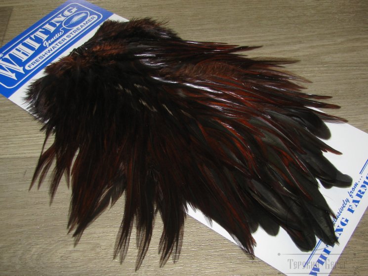 Седло петуха с широким пером Whiting Freshwater Streamer Saddle Badger Coachman Brown