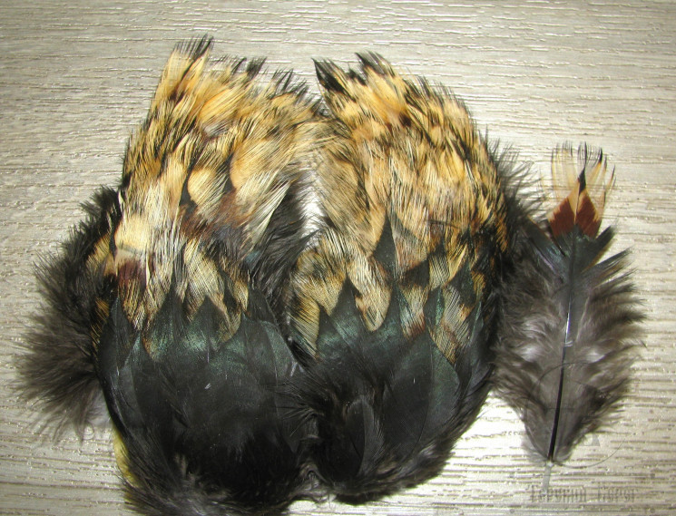 Перья для хвостиков сухих мух Tailing Scapulars Feathers Golden Black Tips