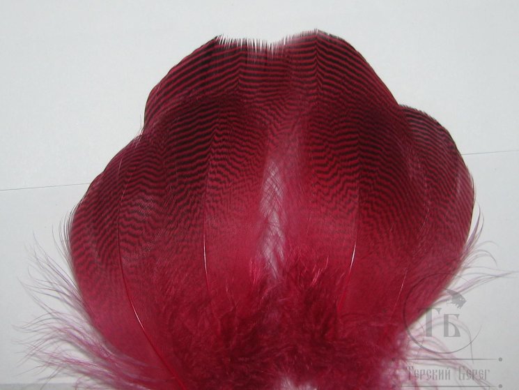 Перья шилохвости / Pintal Flank Cherry Red Lg. 6 пар