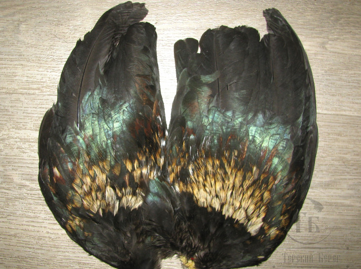 Крылья петуха Cock Wings Black / Badger Variant ( 1 пара )