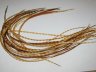 Перо из седла петуха отборное ( 1 шт ) Grizzly Cree Variant 32 - 35