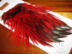 Седло петуха с широким пером Whiting Brahma Rooster Saddle Badger Red