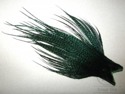 Набор микро перьев Mini Pack Dry ( 2 ) Grizzly Peacock