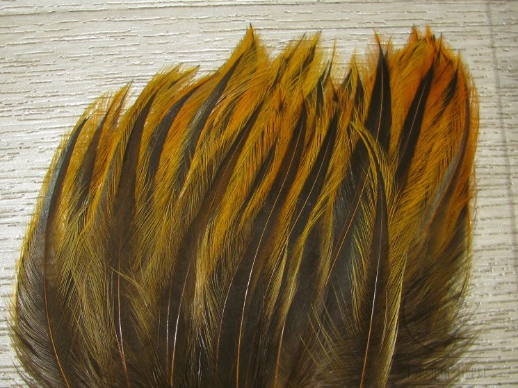 Перо скальпа петуха Баджер жёлтый банан / Attractor Neck Hackle Badger Rusty Banana