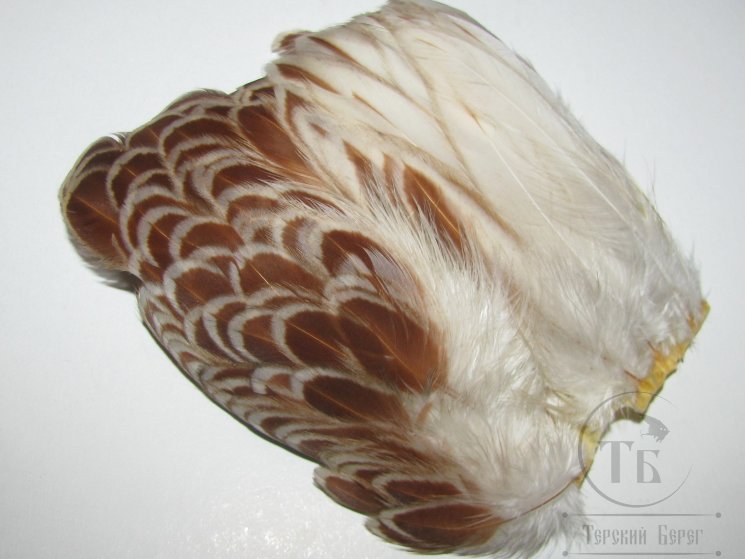 Куриное перо Hen feathers SH Badger Brown