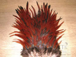 Седло петуха с широким пером Rooster Saddle Black Brown Var.