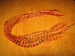 Перо из седла петуха отборное ( 1 шт ) Гризли флюр оранжевый / Grizzly Fl. Orange