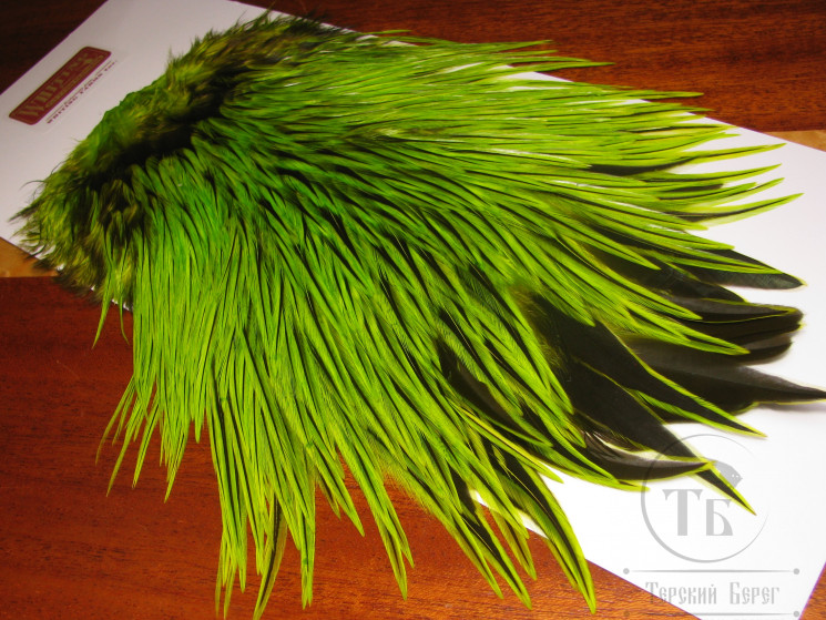Седло петуха с широким пером Whiting Brahma Rooster Saddle Badger Fl. Green Chart.