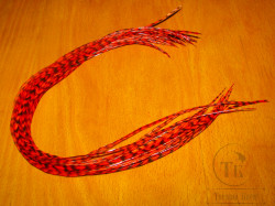 Перо из седла петуха отборное ( 1 шт ) Гризли флюр красное / Grizzly Fl. Red