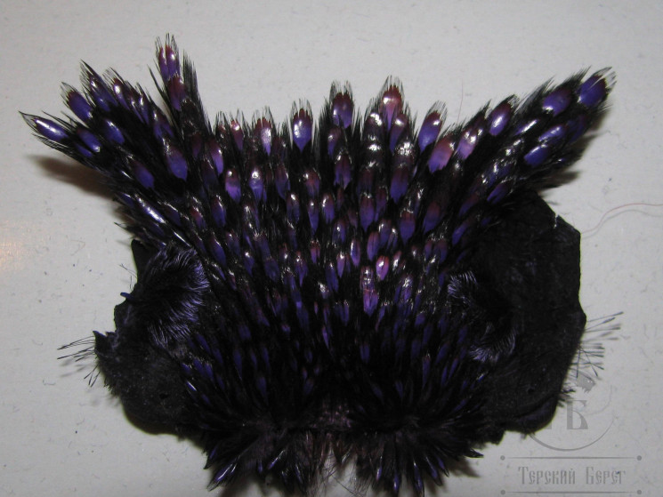 Верхняя часть скальпа джунглевого петуха JC Bright Purple