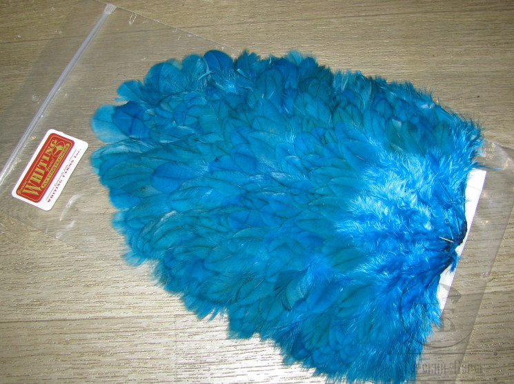 Курица седло 4B Hen Saddle Kingfisher Blue Whiting