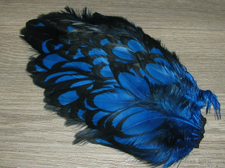 Перо курицы синее с чёрной окантовкой 1/2 Soft Hackle BLW Kingfisher Blue Whiting