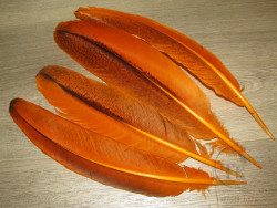 Маховые перья индюка Turkey Wing Quills Barred Orange Variant (2 пары)