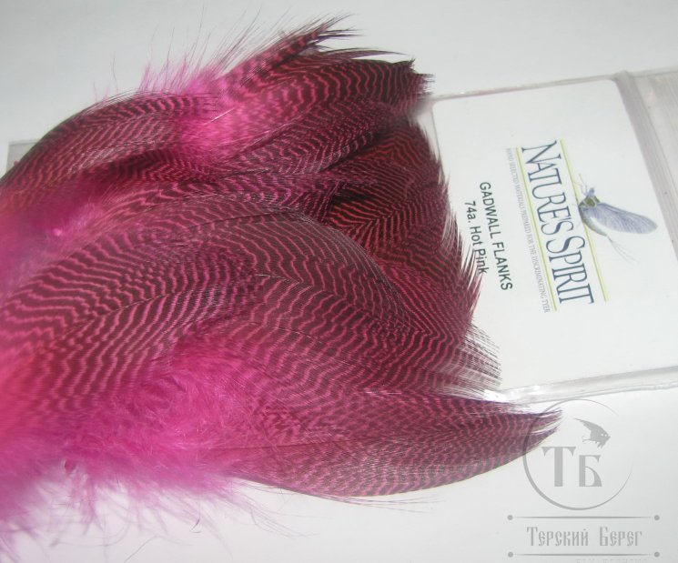 Перья селезня серой утки Gadwall  flanks hot pink N. Spirit