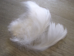 Spey перо гусиное 12 F White