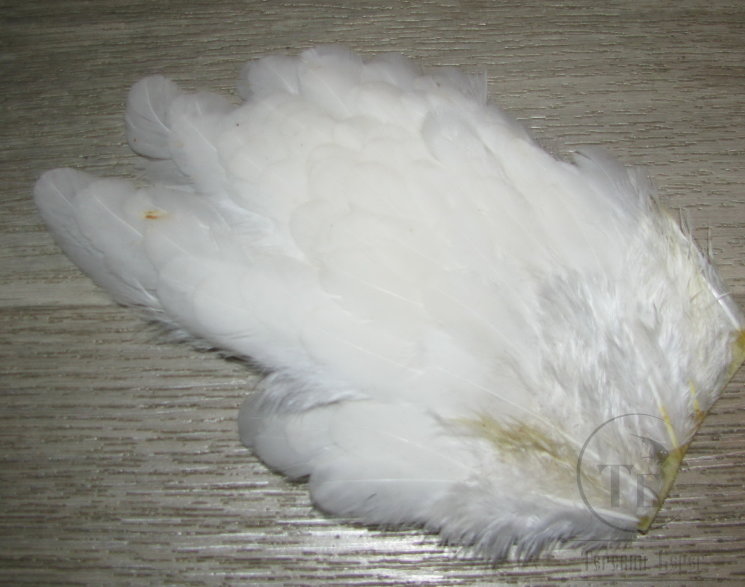 Куриное перо Hen feathers белый 1/3