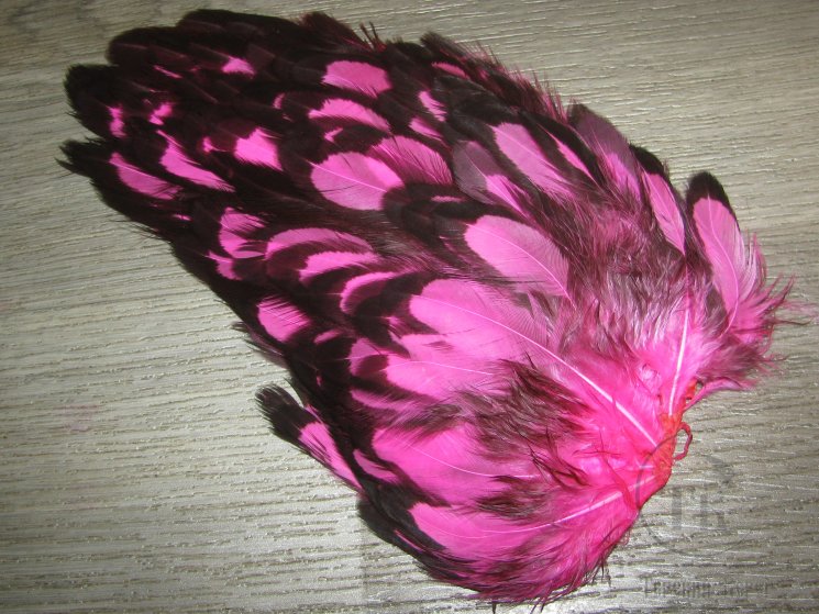 Перо курицы розовое с чёрной окантовкой 1/2 Soft Hackle BLW Fl. Pink Whiting