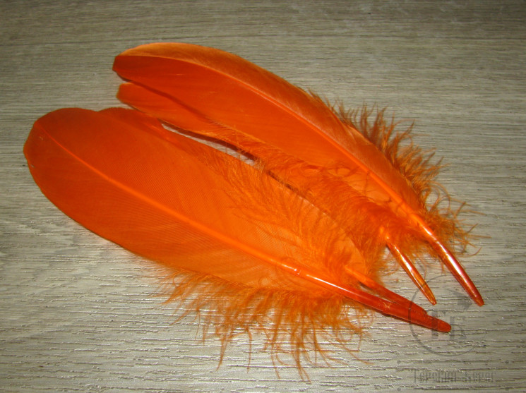 Goose Shoulders Orange ( 2 пары ) Терский берег