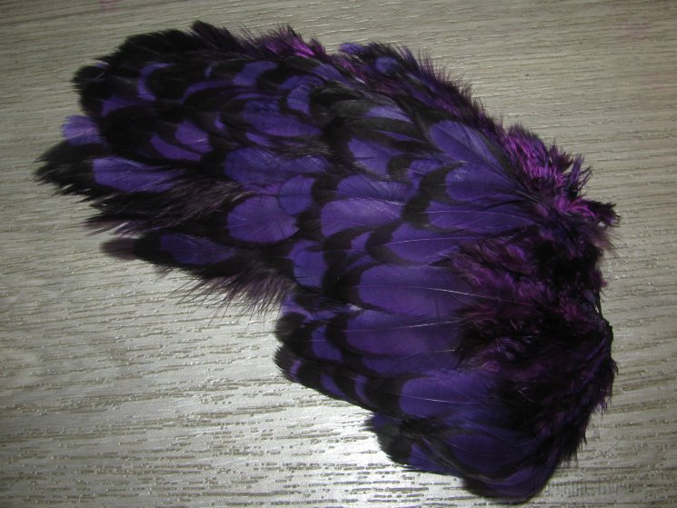 Перо курицы фиолетовое с чёрной окантовкой 1/2 Soft Hackle BLW Purple Whiting