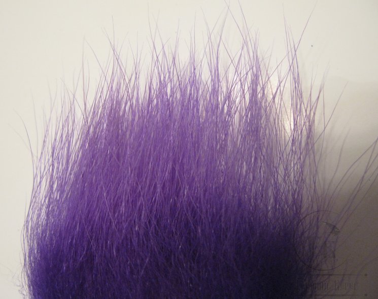 imi polar bear purple  premium